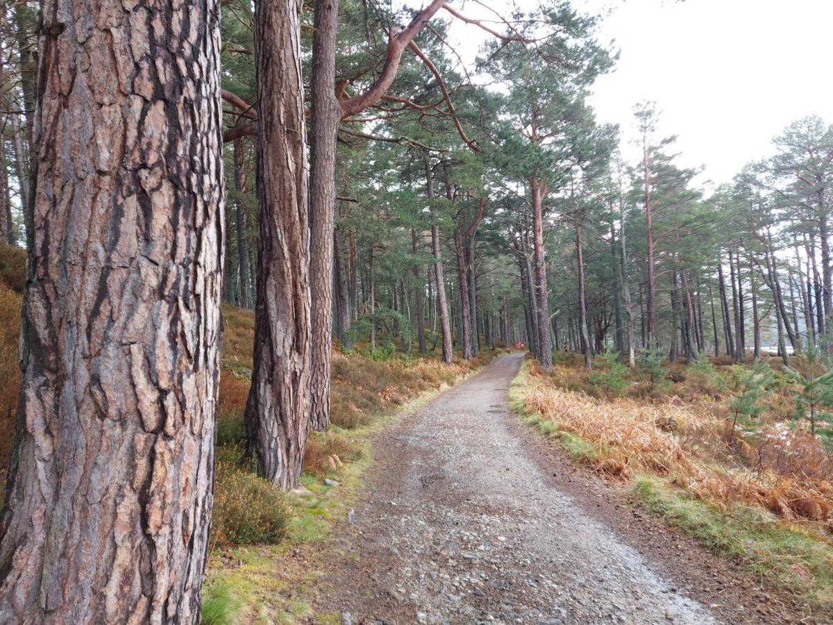 Holiday House Kinveachy Aviemore Dış mekan fotoğraf